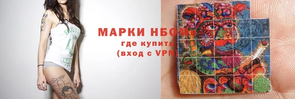 хмурый Алзамай