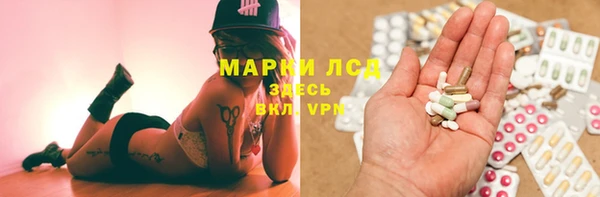 хмурый Алзамай