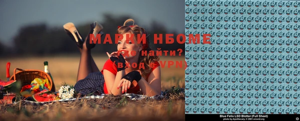 хмурый Алзамай