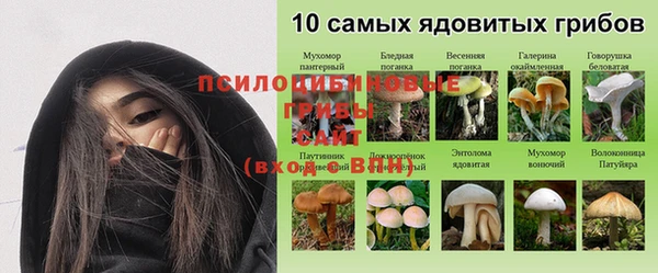 apvp Алексин
