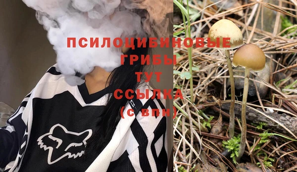 хмурый Алзамай
