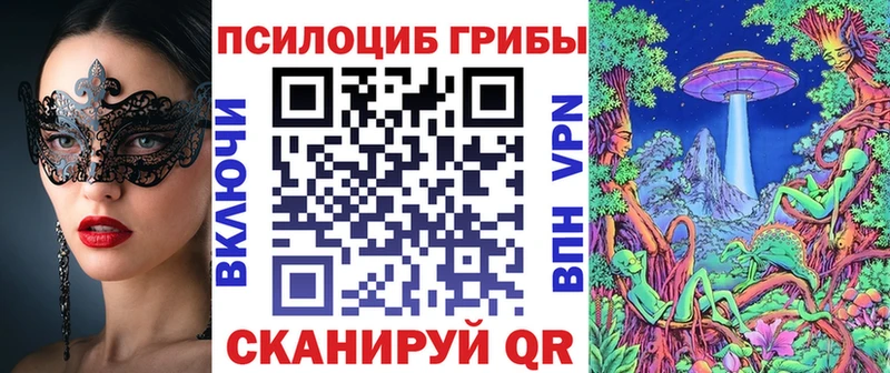 Псилоцибиновые грибы Psilocybe Ефремов